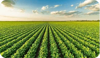 Agricultural business operations